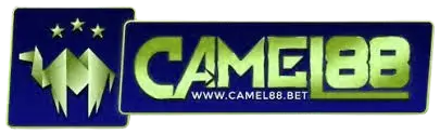 camel88