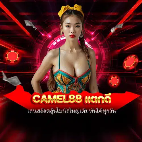camel88 แตกดี