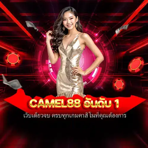camel88 อันดับ 1