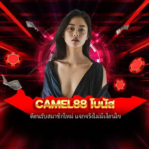 camel88 เว็บแท้